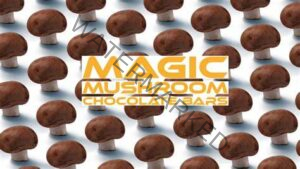 Tips for Buying Mushroom Chocolate Bars